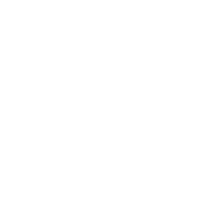 Teràpia de Shock