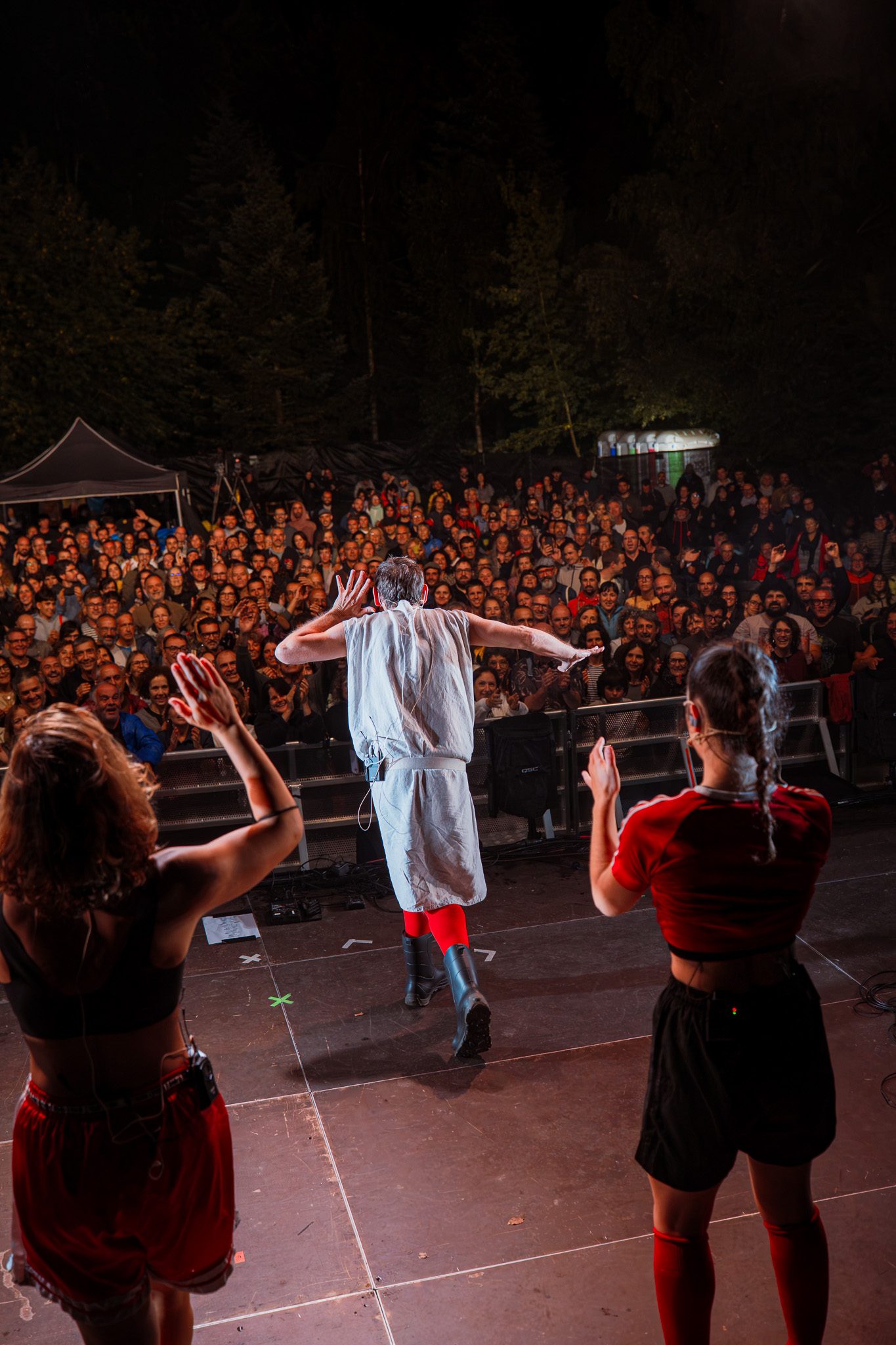 Fotografía de concierto — artista de espaldas frente al público