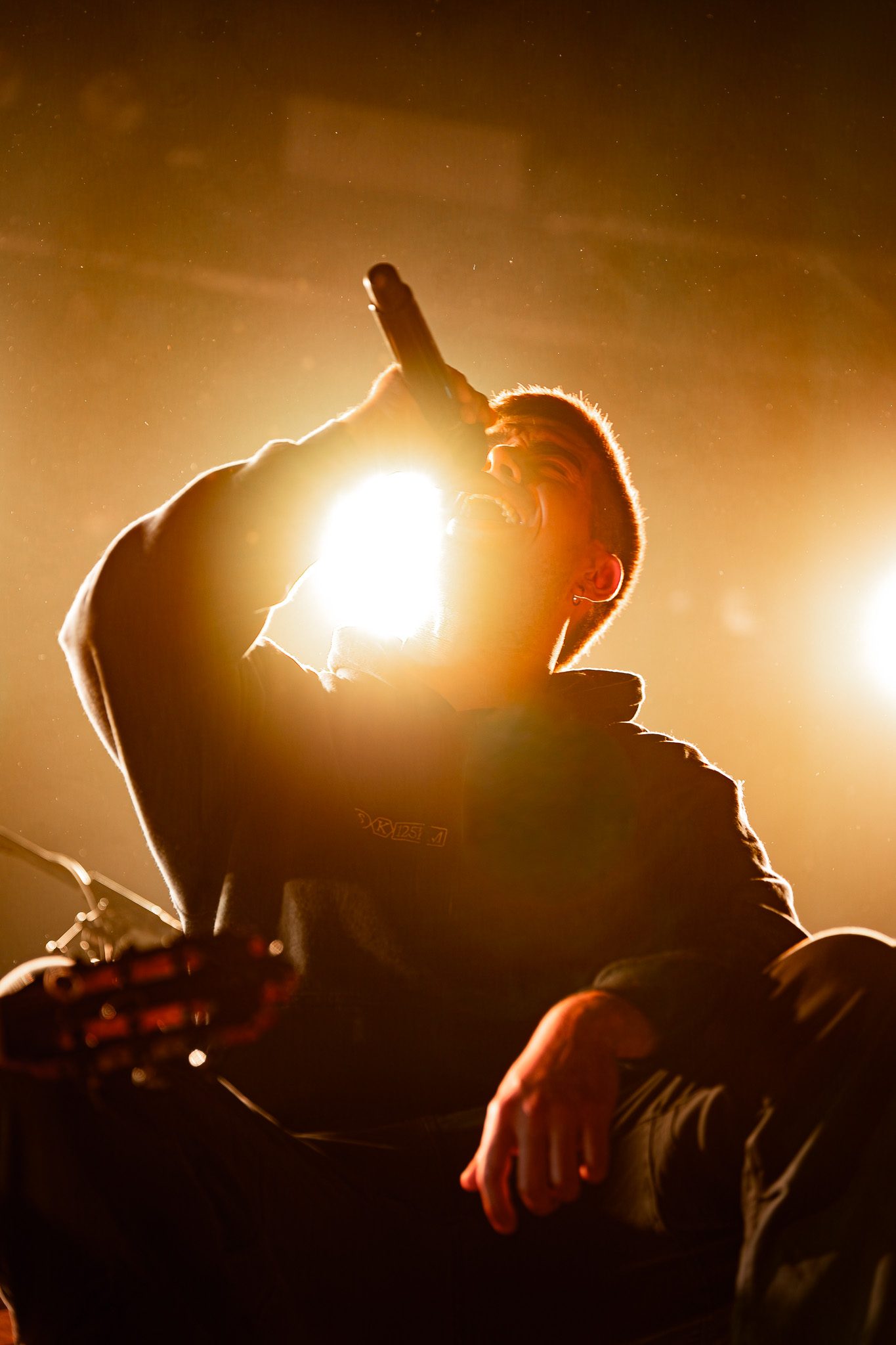Fotografía de concierto — emoción del público en barrera